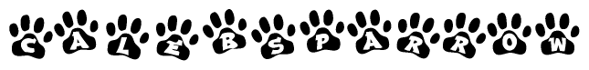 The image shows a row of animal paw prints, each containing a letter. The letters spell out the word Calebsparrow within the paw prints.