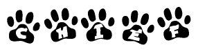 The image shows a series of animal paw prints arranged in a horizontal line. Each paw print contains a letter, and together they spell out the word Chief.