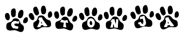 The image shows a row of animal paw prints, each containing a letter. The letters spell out the word Catonja within the paw prints.
