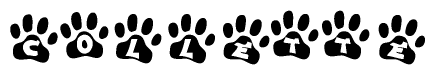 The image shows a row of animal paw prints, each containing a letter. The letters spell out the word Collette within the paw prints.