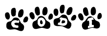 The image shows a row of animal paw prints, each containing a letter. The letters spell out the word Codi within the paw prints.