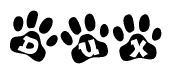 The image shows a series of animal paw prints arranged in a horizontal line. Each paw print contains a letter, and together they spell out the word Dux.