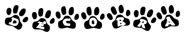 The image shows a series of animal paw prints arranged in a horizontal line. Each paw print contains a letter, and together they spell out the word Decobra.