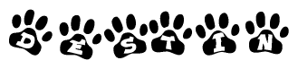 The image shows a row of animal paw prints, each containing a letter. The letters spell out the word Destin within the paw prints.