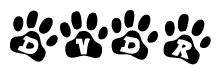 The image shows a series of animal paw prints arranged in a horizontal line. Each paw print contains a letter, and together they spell out the word Dvdr.
