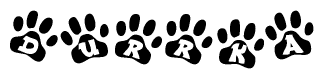 The image shows a series of animal paw prints arranged in a horizontal line. Each paw print contains a letter, and together they spell out the word Durrka.