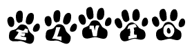 The image shows a series of animal paw prints arranged in a horizontal line. Each paw print contains a letter, and together they spell out the word Elvio.