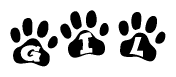 The image shows a series of animal paw prints arranged in a horizontal line. Each paw print contains a letter, and together they spell out the word Gil.