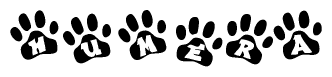 The image shows a row of animal paw prints, each containing a letter. The letters spell out the word Humera within the paw prints.