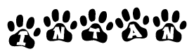 The image shows a series of animal paw prints arranged horizontally. Within each paw print, there's a letter; together they spell Intan