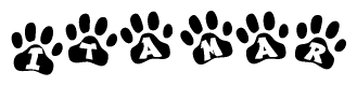 The image shows a row of animal paw prints, each containing a letter. The letters spell out the word Itamar within the paw prints.