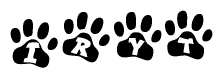 The image shows a series of animal paw prints arranged in a horizontal line. Each paw print contains a letter, and together they spell out the word Iryt.