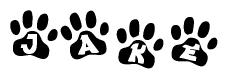 The image shows a series of animal paw prints arranged in a horizontal line. Each paw print contains a letter, and together they spell out the word Jake.