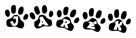 The image shows a series of animal paw prints arranged horizontally. Within each paw print, there's a letter; together they spell Jarek