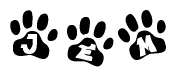 The image shows a series of animal paw prints arranged horizontally. Within each paw print, there's a letter; together they spell Jem