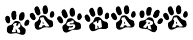 The image shows a series of animal paw prints arranged in a horizontal line. Each paw print contains a letter, and together they spell out the word Kashara.