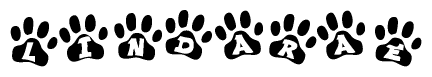 The image shows a series of animal paw prints arranged horizontally. Within each paw print, there's a letter; together they spell Lindarae
