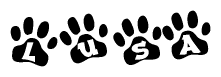 Animal Paw Prints with Lusa Lettering
