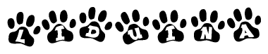 The image shows a series of animal paw prints arranged in a horizontal line. Each paw print contains a letter, and together they spell out the word Liduina.