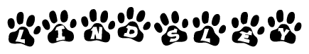 The image shows a series of animal paw prints arranged horizontally. Within each paw print, there's a letter; together they spell Lindsley