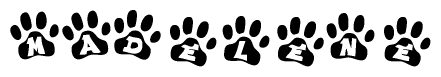 The image shows a series of animal paw prints arranged horizontally. Within each paw print, there's a letter; together they spell Madelene