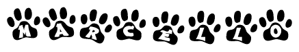The image shows a series of animal paw prints arranged in a horizontal line. Each paw print contains a letter, and together they spell out the word Marcello.