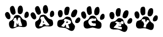 The image shows a series of animal paw prints arranged in a horizontal line. Each paw print contains a letter, and together they spell out the word Marcey.