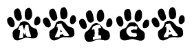 The image shows a series of animal paw prints arranged in a horizontal line. Each paw print contains a letter, and together they spell out the word Maica.