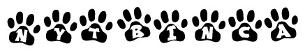 The image shows a series of animal paw prints arranged in a horizontal line. Each paw print contains a letter, and together they spell out the word Nytbinca.