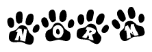 The image shows a series of animal paw prints arranged in a horizontal line. Each paw print contains a letter, and together they spell out the word Norm.