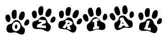 The image shows a series of animal paw prints arranged in a horizontal line. Each paw print contains a letter, and together they spell out the word Ozrial.