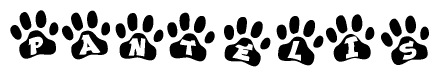 The image shows a series of animal paw prints arranged horizontally. Within each paw print, there's a letter; together they spell Pantelis