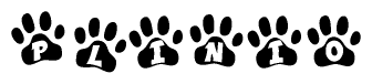 The image shows a series of animal paw prints arranged horizontally. Within each paw print, there's a letter; together they spell Plinio