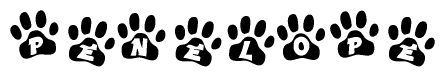 The image shows a series of animal paw prints arranged in a horizontal line. Each paw print contains a letter, and together they spell out the word Penelope.