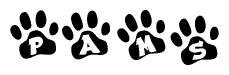 The image shows a series of animal paw prints arranged in a horizontal line. Each paw print contains a letter, and together they spell out the word Pams.