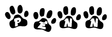 The image shows a series of animal paw prints arranged in a horizontal line. Each paw print contains a letter, and together they spell out the word Penn.