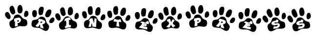 The image shows a row of animal paw prints, each containing a letter. The letters spell out the word Printexpress within the paw prints.