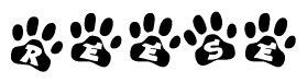 The image shows a series of animal paw prints arranged horizontally. Within each paw print, there's a letter; together they spell Reese