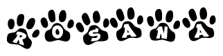 The image shows a series of animal paw prints arranged in a horizontal line. Each paw print contains a letter, and together they spell out the word Rosana.