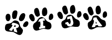 The image shows a series of animal paw prints arranged horizontally. Within each paw print, there's a letter; together they spell Rija