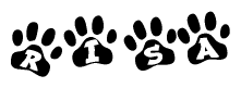 The image shows a series of animal paw prints arranged in a horizontal line. Each paw print contains a letter, and together they spell out the word Risa.