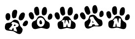 The image shows a series of animal paw prints arranged in a horizontal line. Each paw print contains a letter, and together they spell out the word Rowan.
