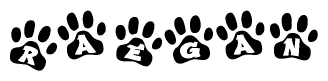 The image shows a series of animal paw prints arranged horizontally. Within each paw print, there's a letter; together they spell Raegan