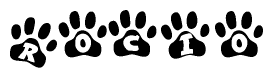 The image shows a row of animal paw prints, each containing a letter. The letters spell out the word Rocio within the paw prints.