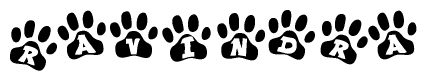 The image shows a series of animal paw prints arranged horizontally. Within each paw print, there's a letter; together they spell Ravindra
