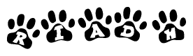The image shows a series of animal paw prints arranged in a horizontal line. Each paw print contains a letter, and together they spell out the word Riadh.