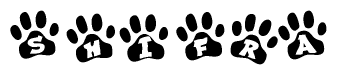 The image shows a series of animal paw prints arranged in a horizontal line. Each paw print contains a letter, and together they spell out the word Shifra.