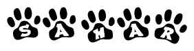 The image shows a row of animal paw prints, each containing a letter. The letters spell out the word Sahar within the paw prints.