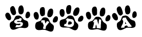 Animal Paw Prints with Sydna Lettering