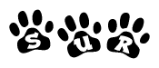 The image shows a row of animal paw prints, each containing a letter. The letters spell out the word Sur within the paw prints.